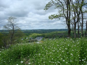 View from a bluff